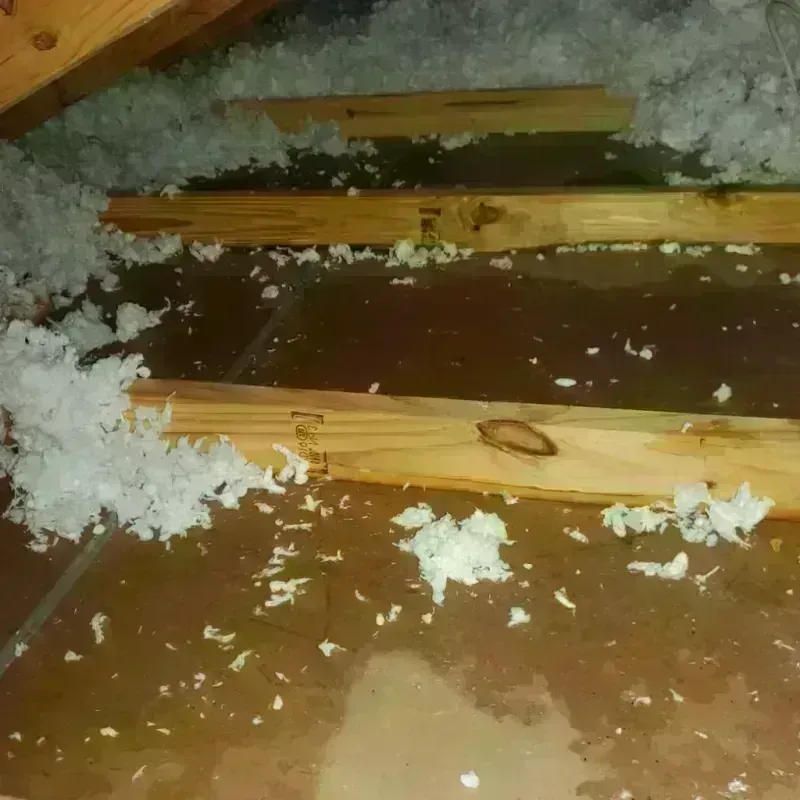 Attic Water Damage in Kamas, UT