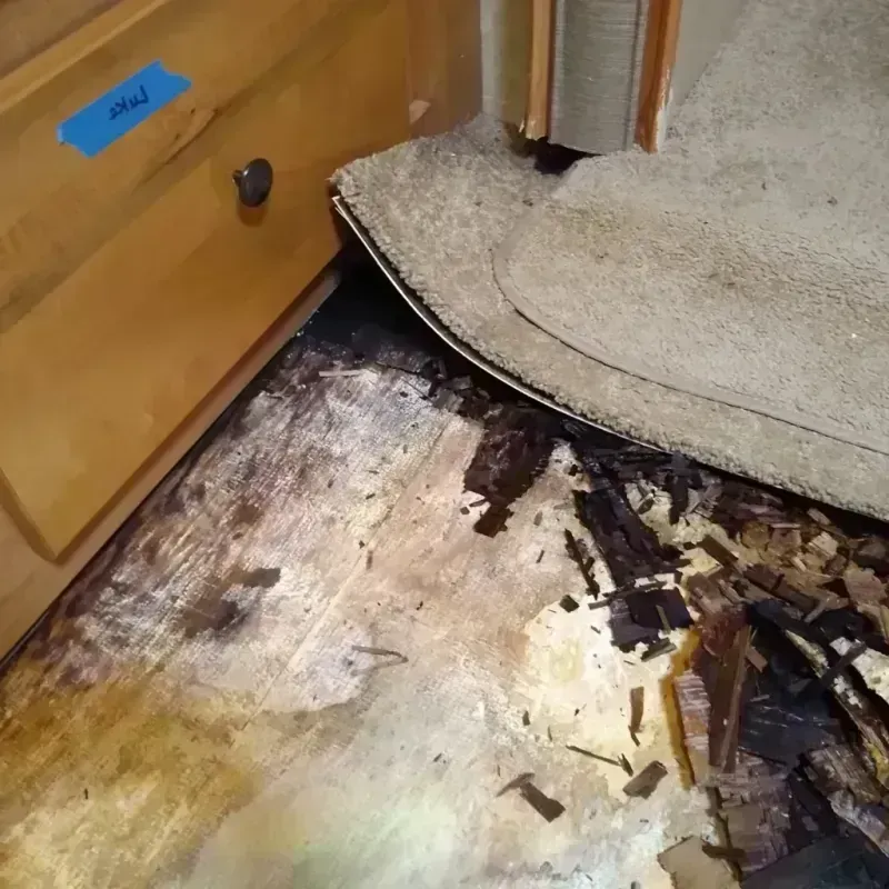 Wood Floor Water Damage in Kamas, UT